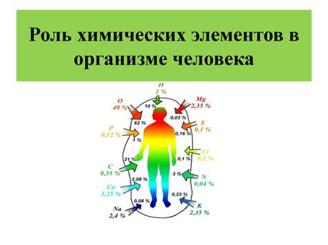 Значение и роль репаративных процессов в организме человека