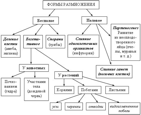 Значение и способы отдыха