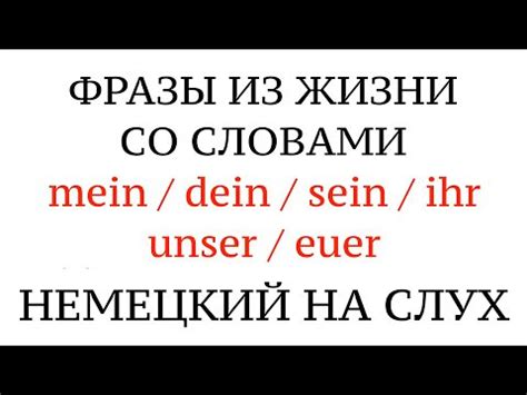 Значение и толкование слова "mein" на немецком