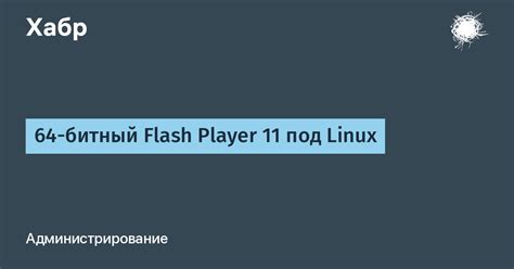 Значение и функционал Flash Player