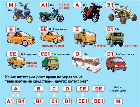 Значение категории М1