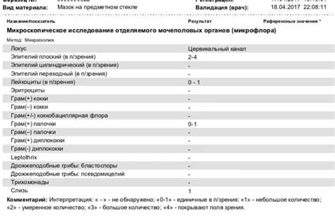 Значение кокков в мужском организме