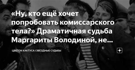 Значение комиссарского тела в современном обществе