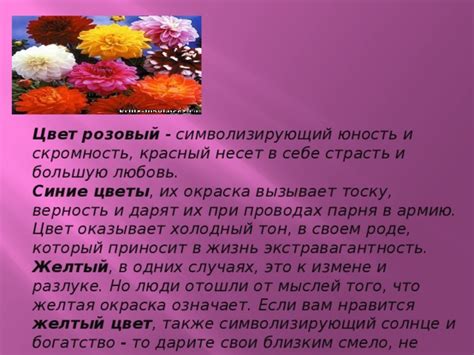 Значение комплимента "солнце" от парня девушке: что оно означает?