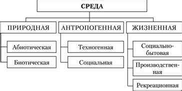 Значение компонентов природной среды: