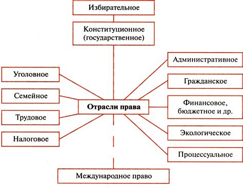 Значение конкретных норм права в обществе