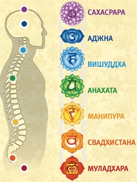 Значение коренастого человека