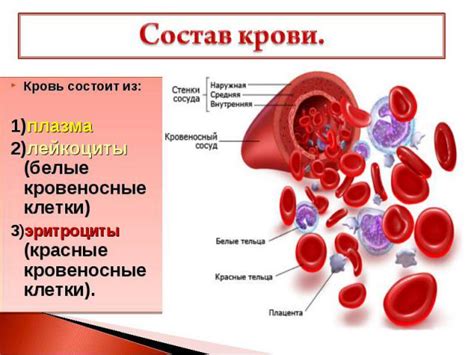 Значение крови в медицине