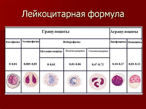 Значение лейкоцитов у детей