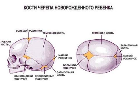 Значение маленького родничка у ребенка