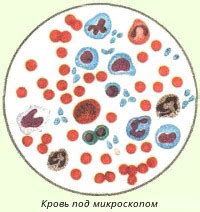 Значение маленькой капельки крови