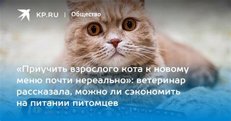 Значение меню тру кост в питании питомцев