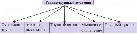 Значение мертвого тела