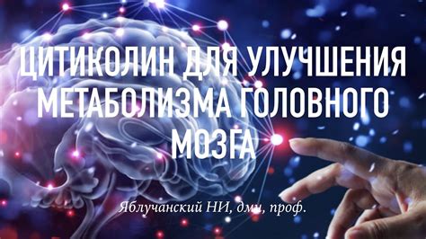 Значение метаболизма головного мозга для организма