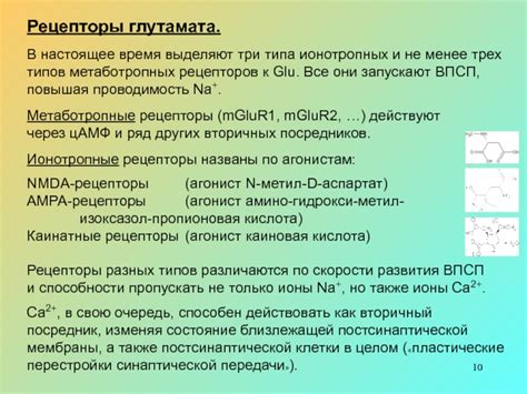 Значение метаботропных рецепторов в медицине