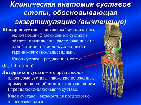 Значение милых костей: