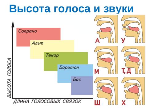 Значение многогранного голоса