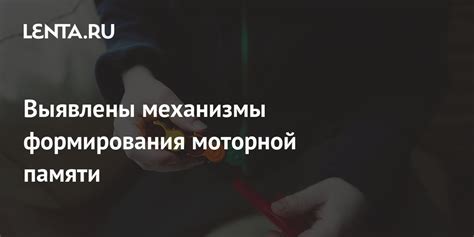 Значение моторной памяти для организма