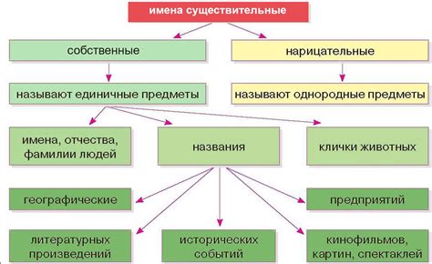 Значение нарицательного и собственного существительного в языке