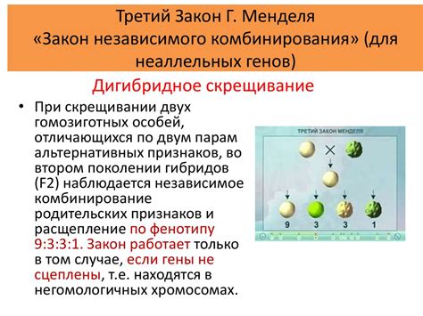 Значение неаллельных генов для эволюции