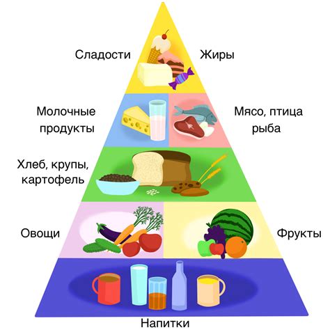 Значение обогащения продуктов для здорового образа жизни