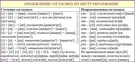 Значение оглушения согласных звуков для языка