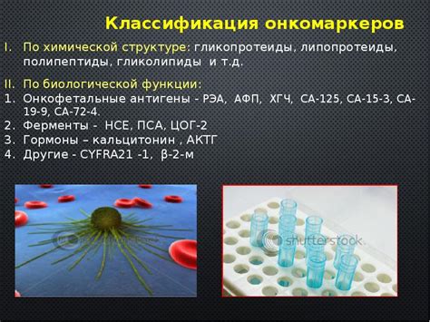 Значение онкомаркеров в диагностике рака