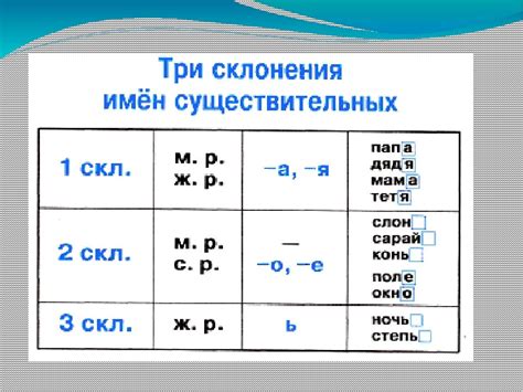 Значение определенного существительного в русском языке