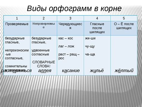 Значение орфограммы пробел в тексте