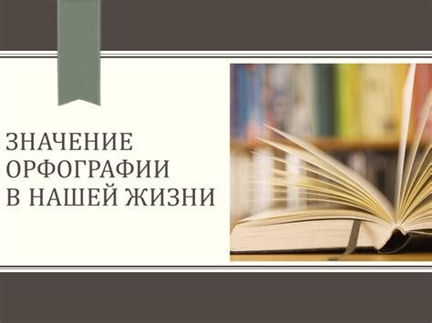 Значение орфографии в образовании