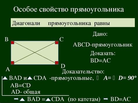 Значение основания прямоугольника в геометрии