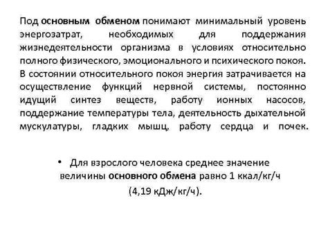 Значение основного обмена веществ для поддержания жизнедеятельности