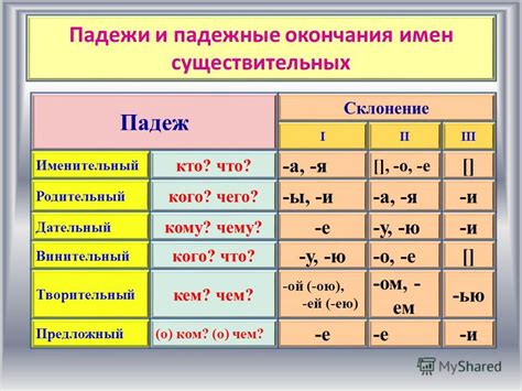 Значение основы имен существительных в русском языке