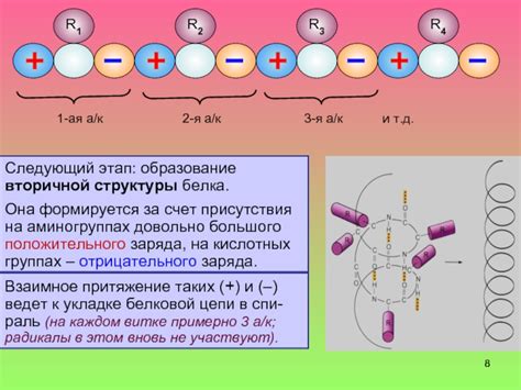 Значение отрицательного белка LGM