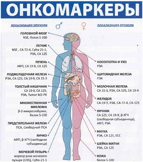 Значение отрицательных онкомаркеров