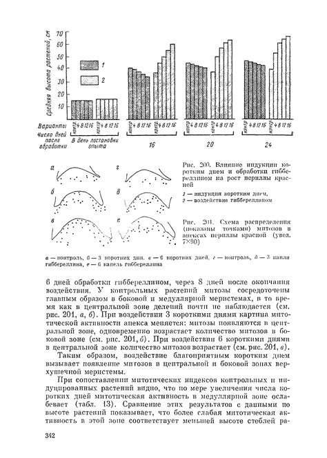 Значение отсутствия обнаружения митозов в диагностике