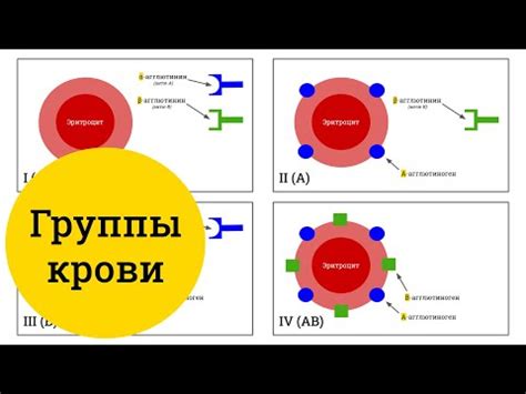 Значение отсутствия патологических аллелей