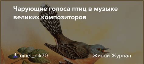 Значение певучего голоса в музыке