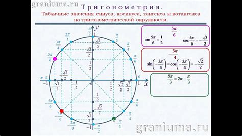 Значение передних кардиодиафрагмальных синусов