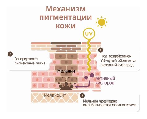 Значение пигментации кожи