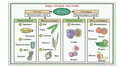 Значение плодов покаяния