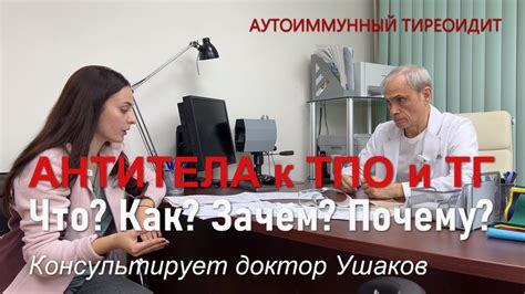 Значение повышенных антител ТПО в диагностике