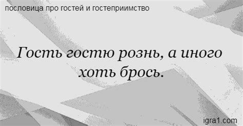 Значение поговорки "Гость гостю рознь"