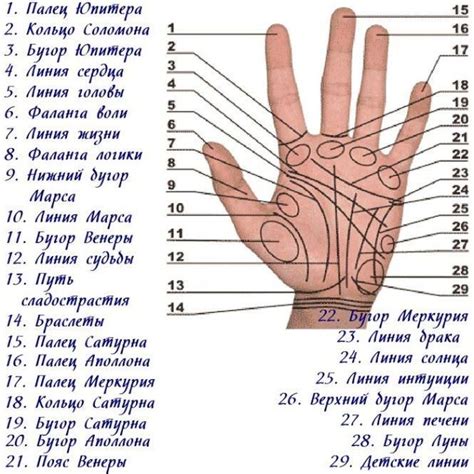 Значение поднятой вверх ладони руки