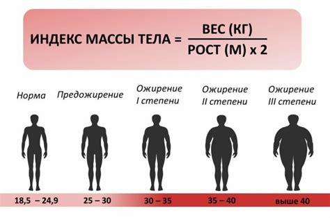 Значение подрессорной массы