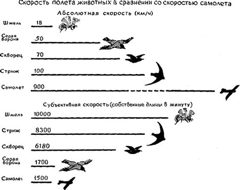 Значение полета стерха