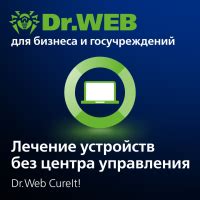 Значение полного лечения Dr.Web CureIt