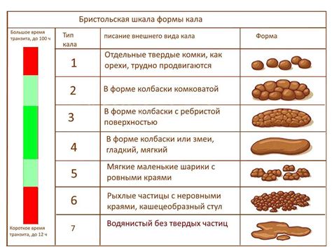 Значение помет у животных