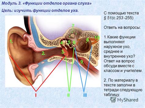 Значение пониженного уха