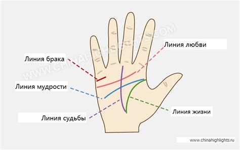 Значение понятия "маленькая ладонь"